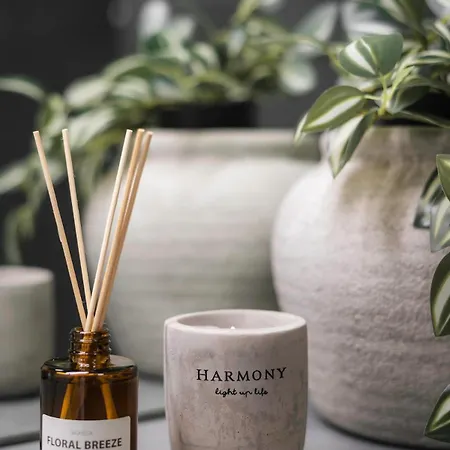 Lejlighed Design Loft Am Hauptbahnhof - Modern Mit Parkplatz